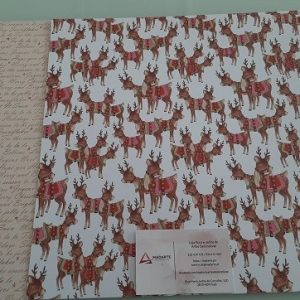 FOLHA SCRAP DUPLA FACE BEAUTY 30.5X30.5CM